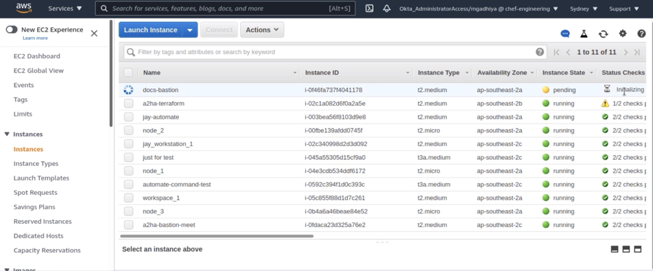 AWS EC2 Instances